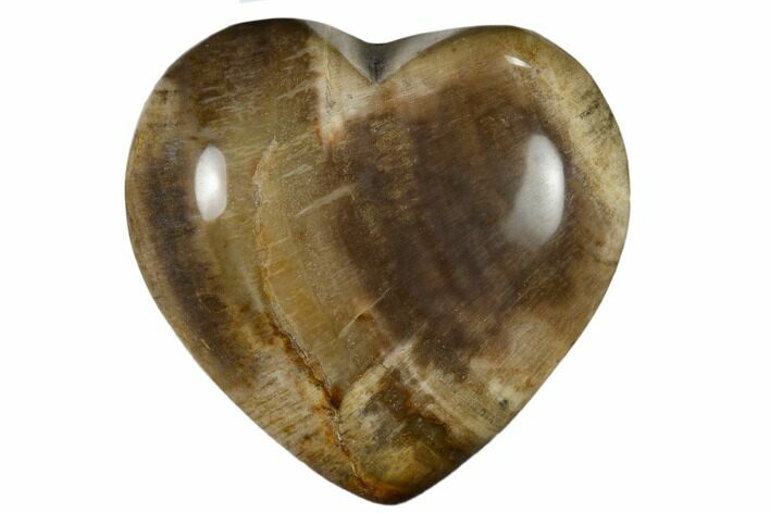 Polished, Triassic Petrified Wood Heart - Madagascar #115510